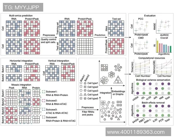 重庆羽毛球队在钻石联赛中的状态分析与表现评估